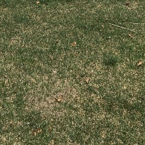 Meet your Posher, Derek